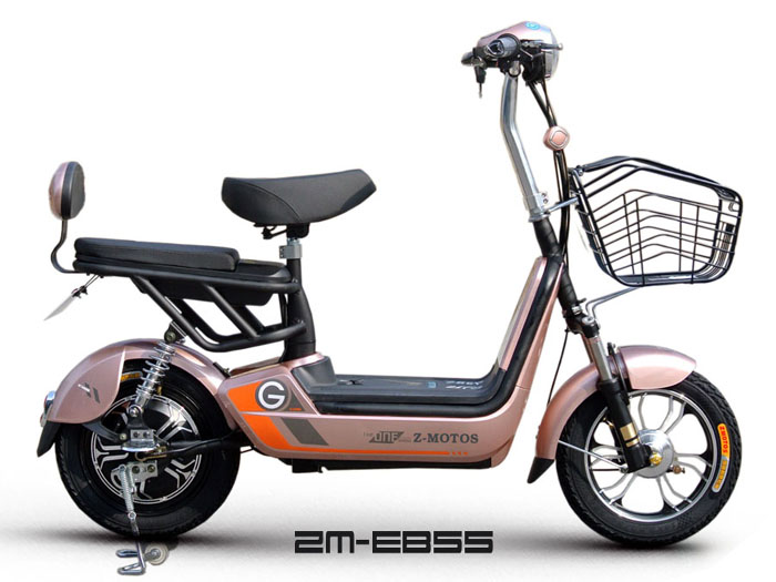 e-bike ZM-EB55