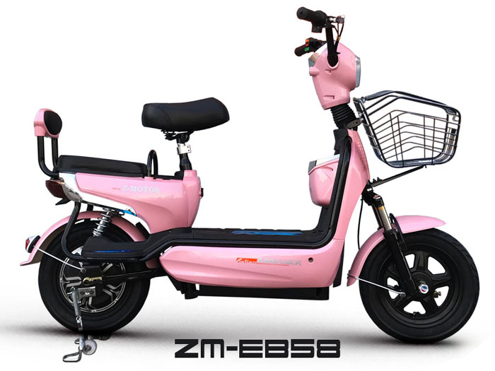 e-bike ZM-EB58
