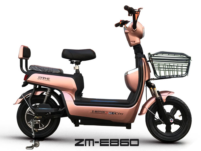 e-bike ZM-EB60
