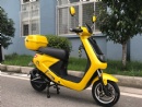 Electric Scooter with pedal